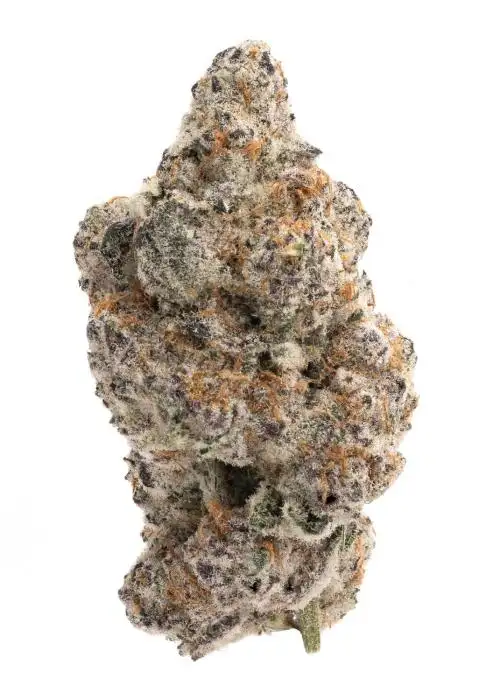 Hippie Crasher
