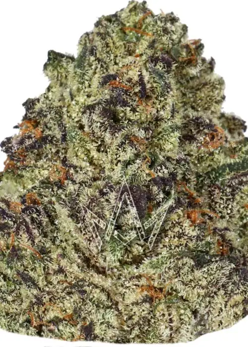 Purple Cream