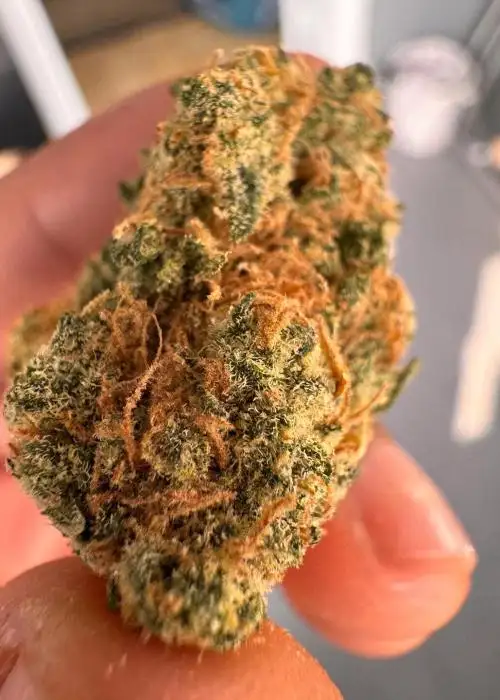 Blueberry Space Cake