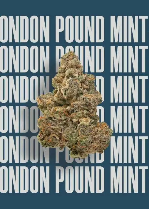 London Pound Mints