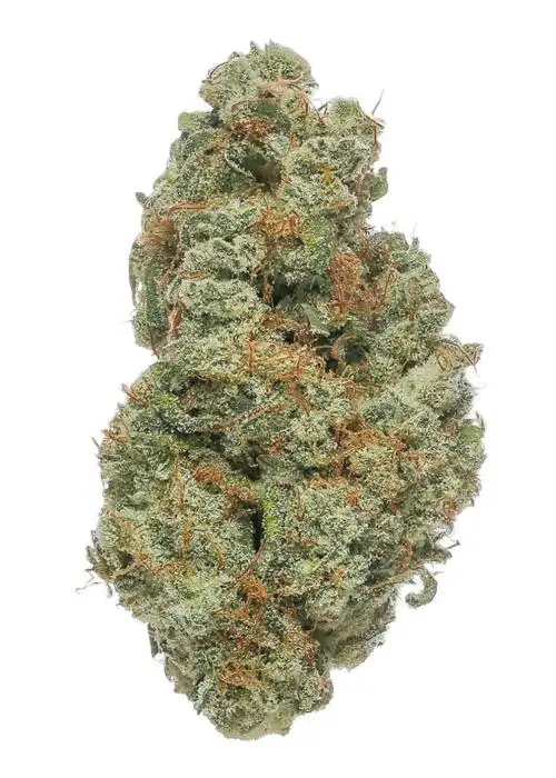 Blueberry Clementine