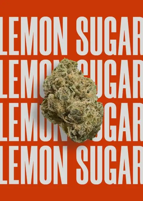 Lemon Sugar