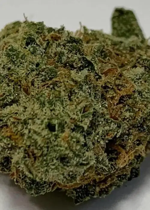 Electric Peanut Butter Cookies