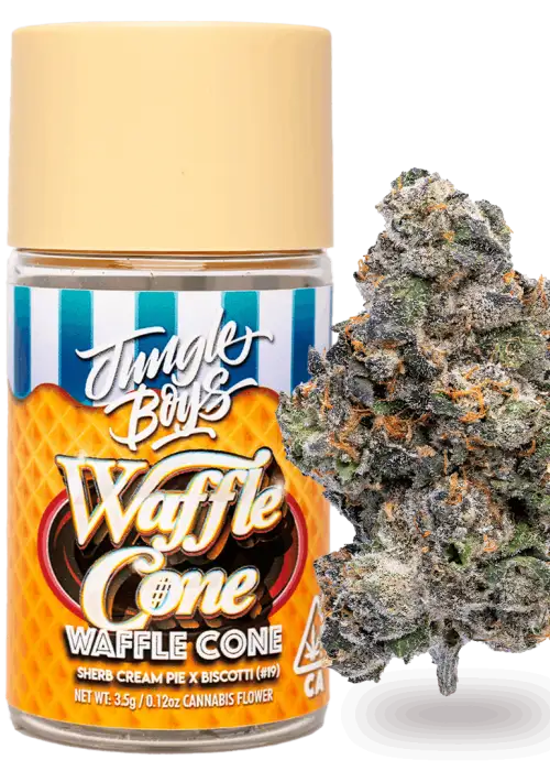 Waffle Cone