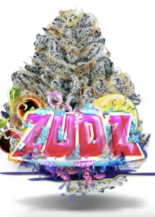 Zudz