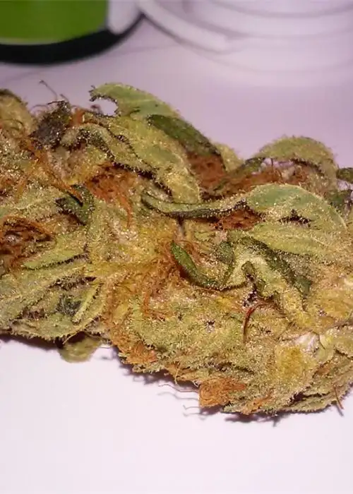 Lemon Thai