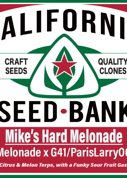 Mike’s Hard Melonade
