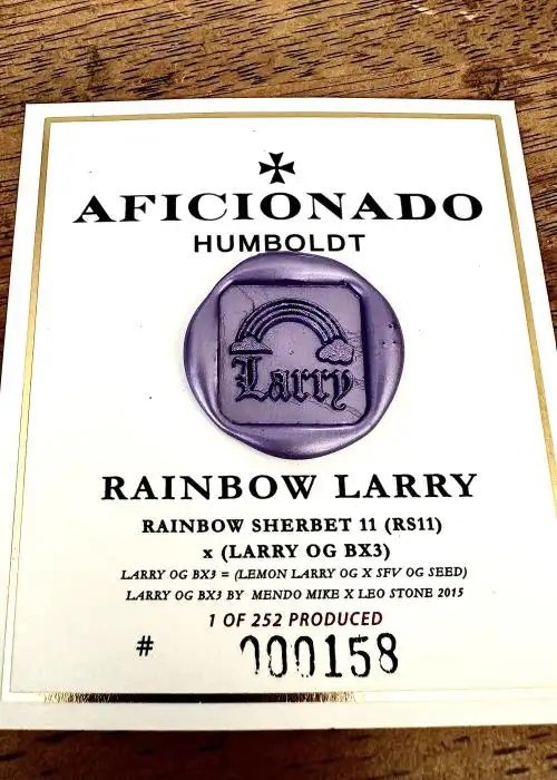 Rainbow Larry