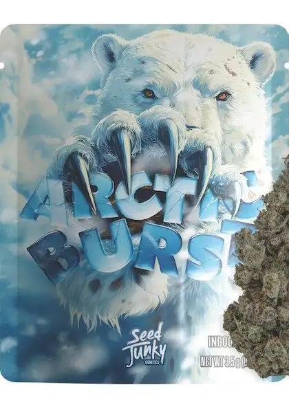 Arctic Burst