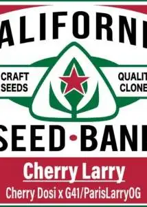 Cherry Larry