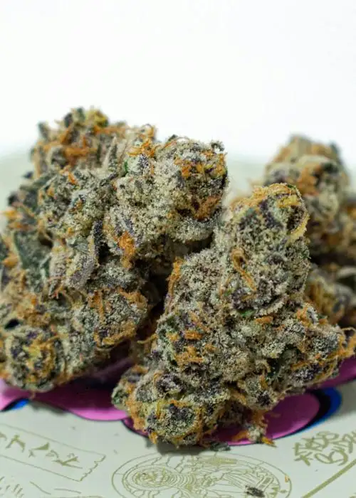 Peanut Butter & Apples