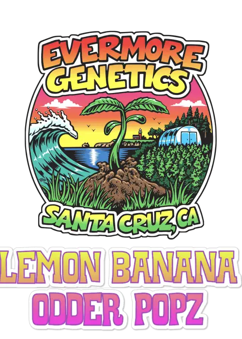 Lemon Banana Odder Popz