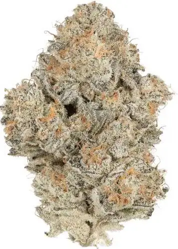 Mount Zereal Kush
