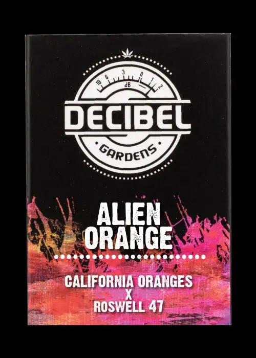 Alien Orange