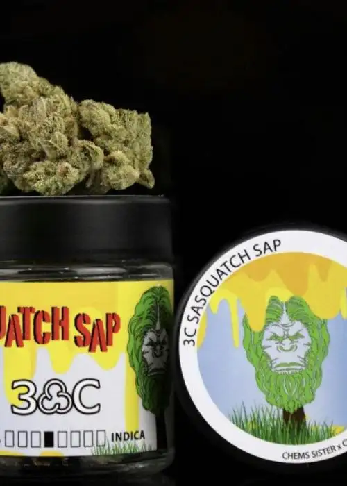 Sasquatch Sap