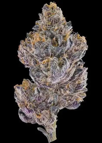 Grape Ambrosia