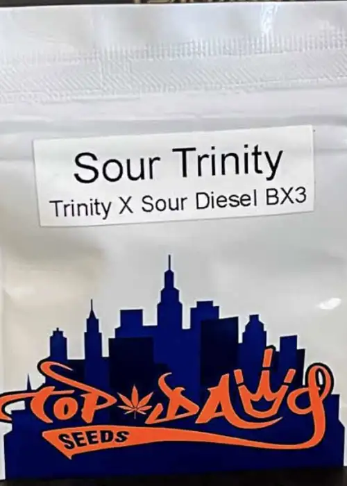 Sour Trinity