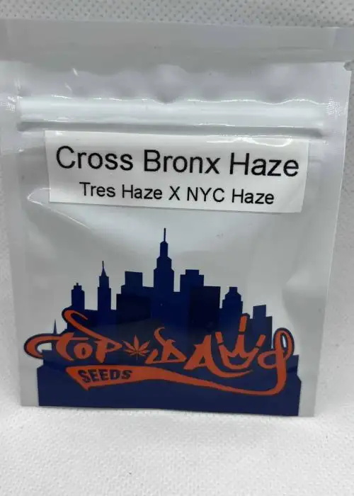 Cross Bronx Haze