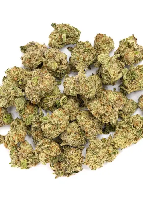 Passion Orange Guava