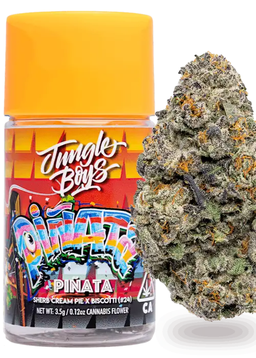 Piñata by Jungle Boys