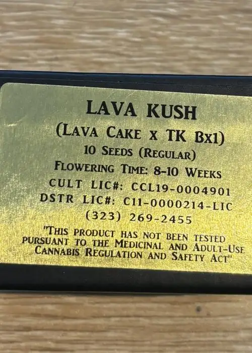 Lava Kush