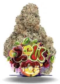 Lemon Cherry Watermelon