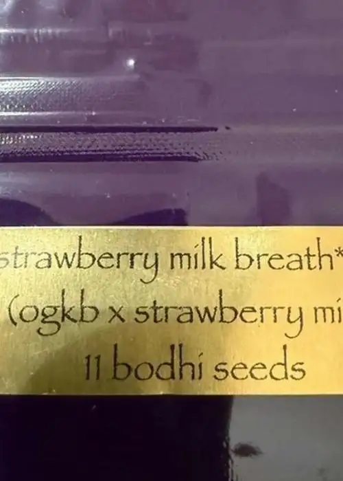 Strawberry Milk Breath