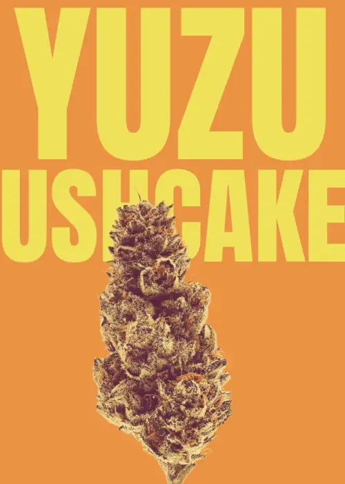 Yuzu Kushcake