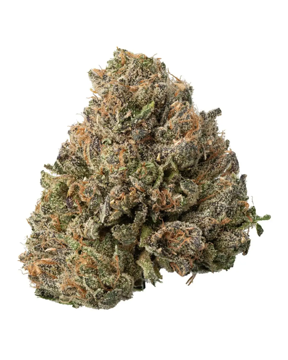 Double Rainbow Cannabis Strain Information - GrowDiaries