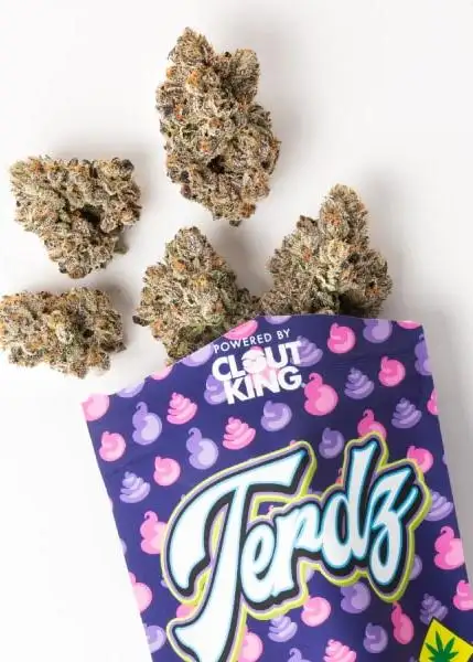 Terdz