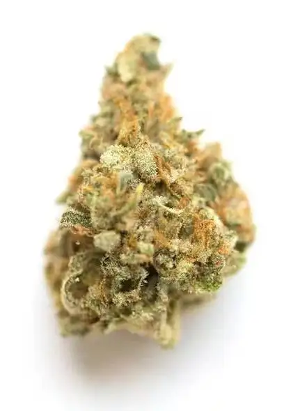 Maui Pineapple Chunk