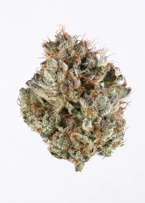 White Cherry Truffle