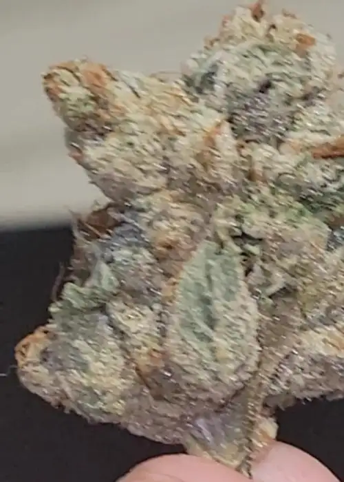 BTY OG