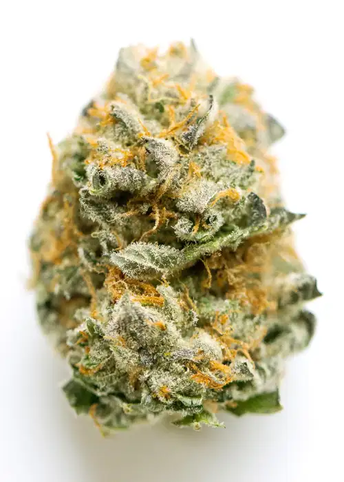 Peach Gelato