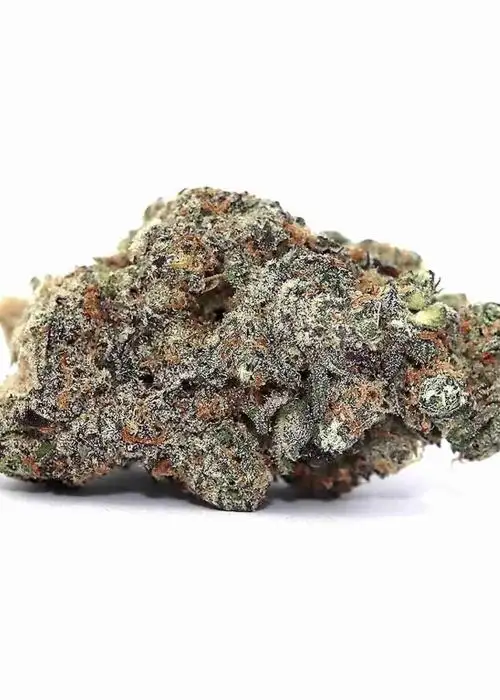 Astro Mints