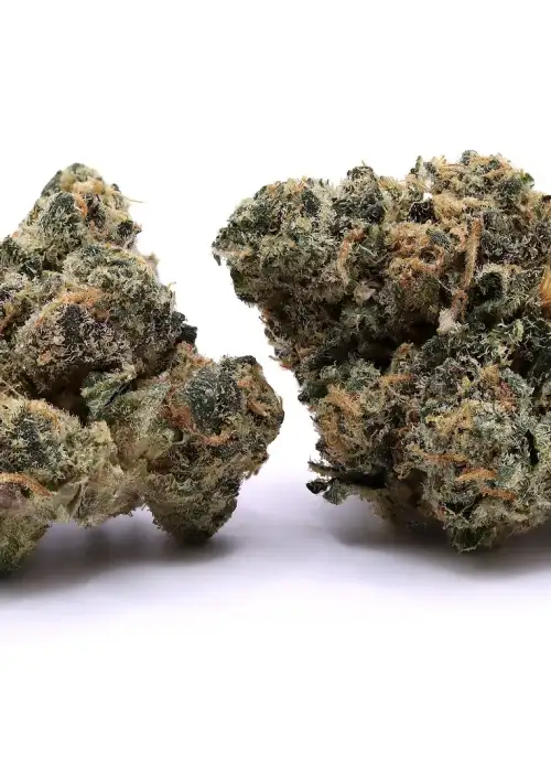 Guava Lava