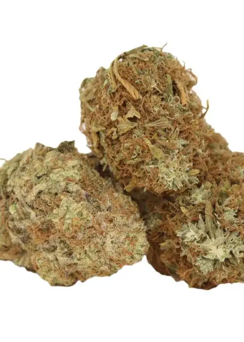 Sour Sherbet