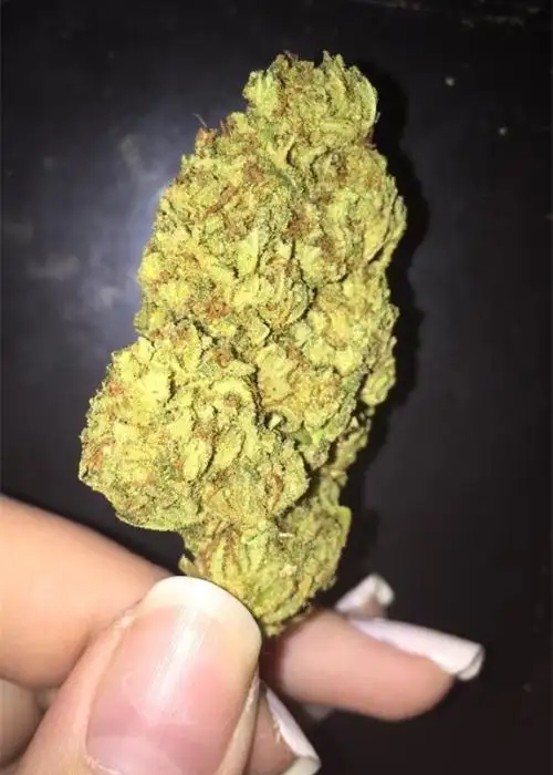 Dream Berry