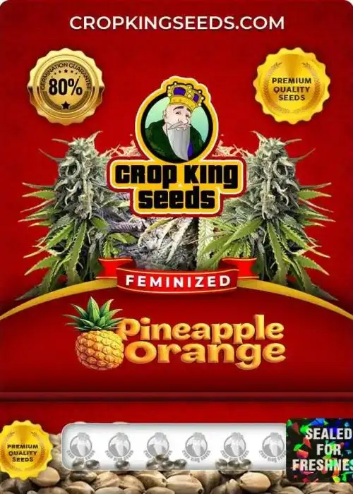 Pineapple Orange