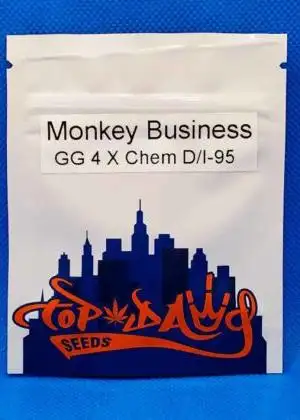 Monkey Business