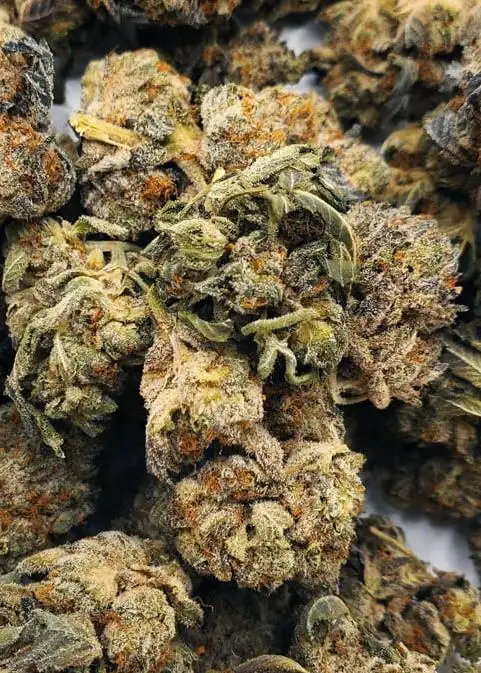 Cake Breath
