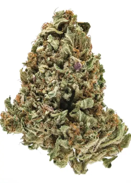 Oregon Diesel