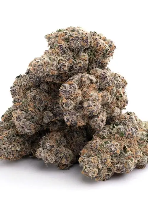 Truffle Sundae