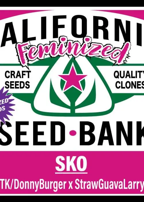 SKO
