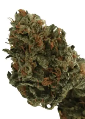 Sherb Haze