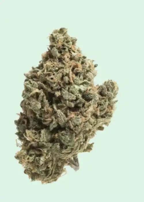 Blackberry Diesel
