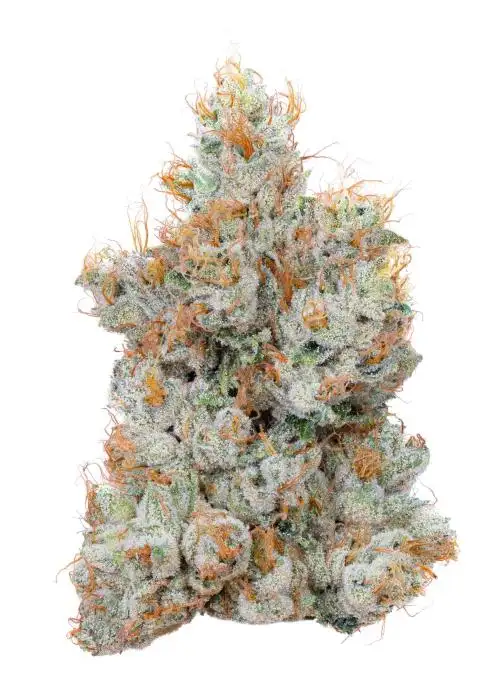 Lemon Fuel
