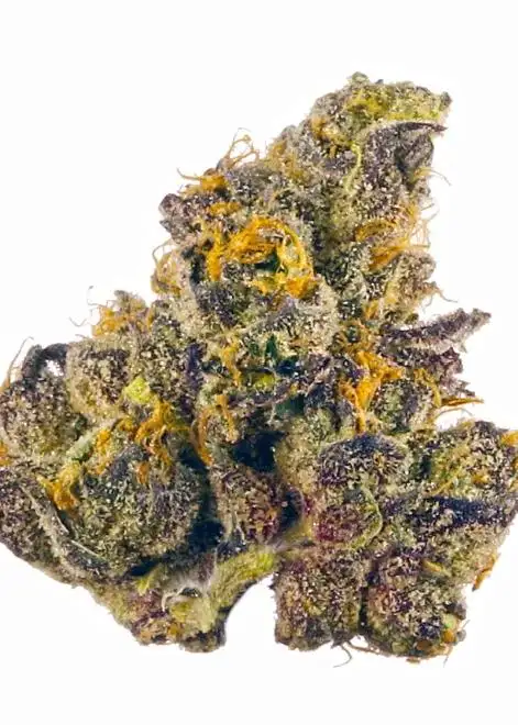Purple Drank