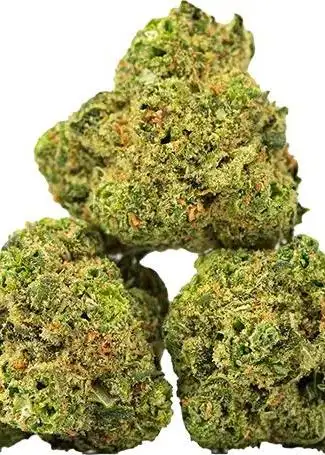 Durban Dream