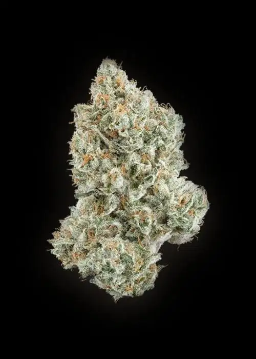 Lemon Burst